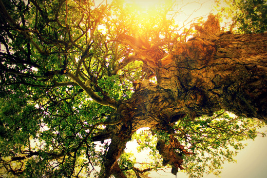 772672 (a): :2560x1707